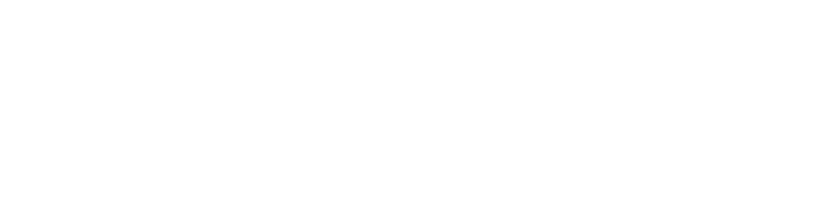 Spanda Foundation Logo